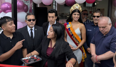 Gelato Fruity and Coffee