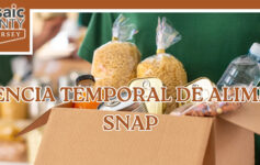 Cupones de Alimentos